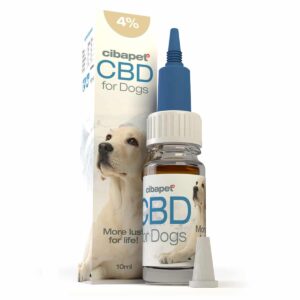 Een flesje Cibapet CBD olie 4% voor honden (10ml) naast een doosje.